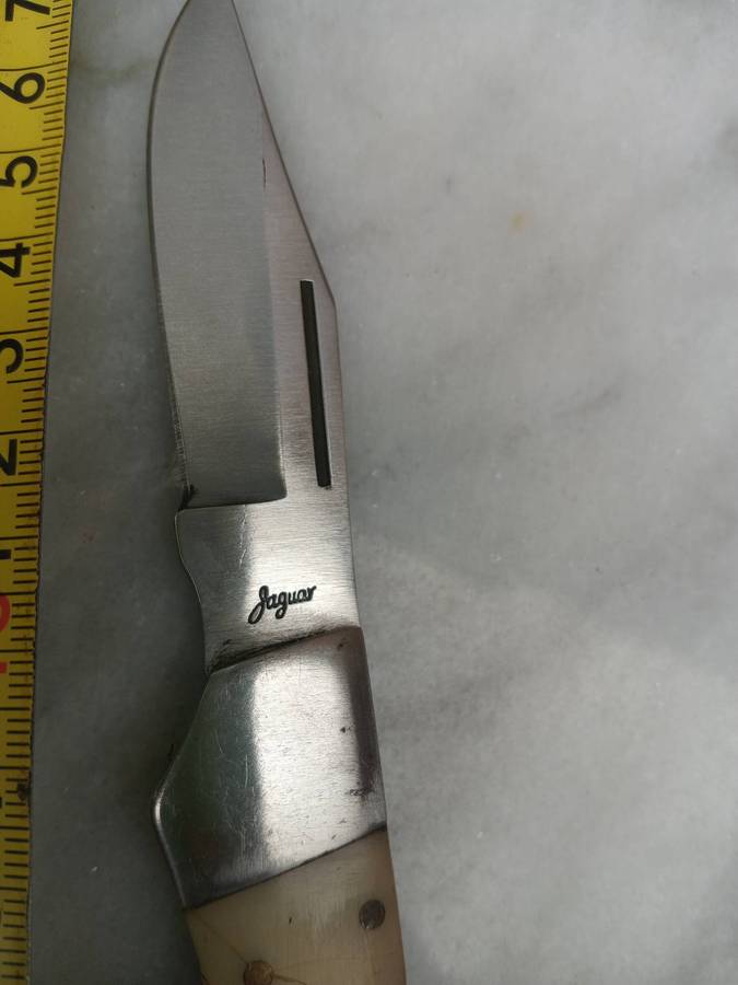 Jaguar folding knife