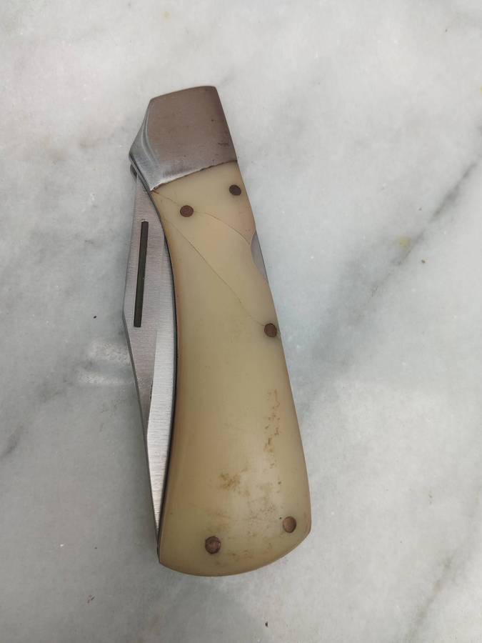 Jaguar folding knife