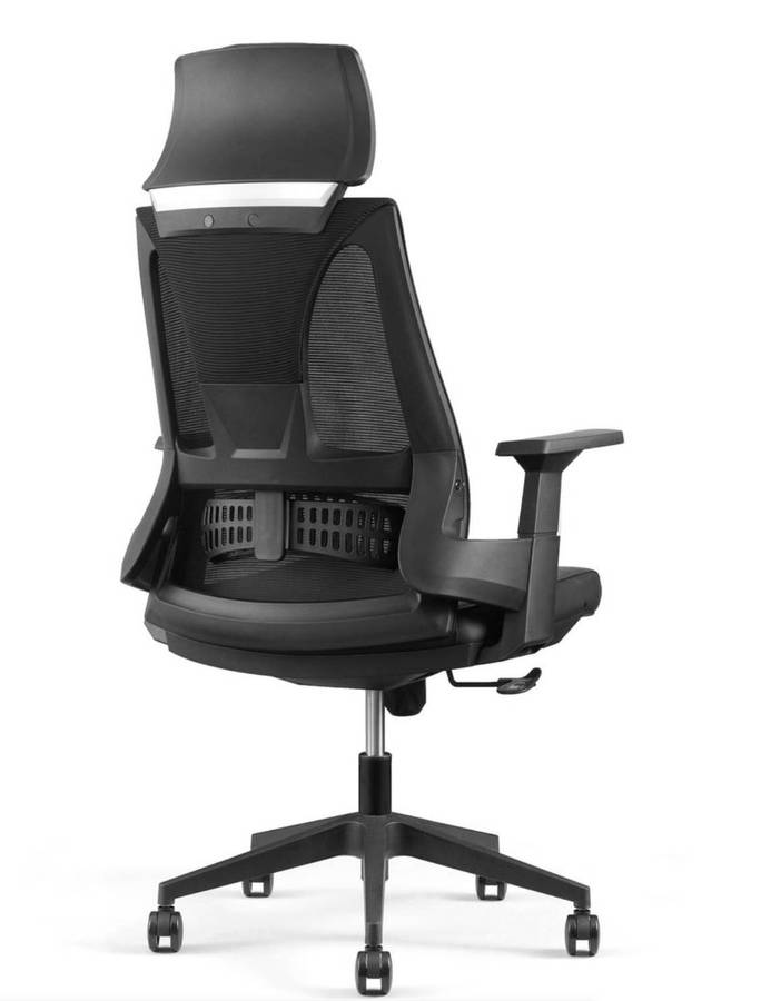 EayThing Lambo Elite Ergonomic Executive Mesh Chair