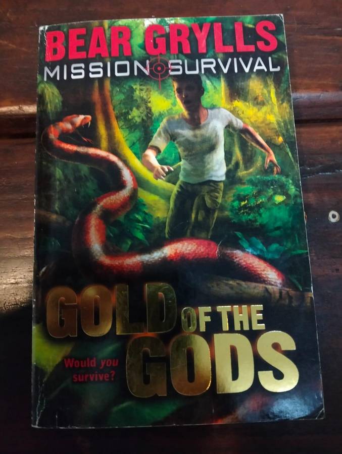 Gold of the Gods (Bear Grylls Mission Survival Book 1)