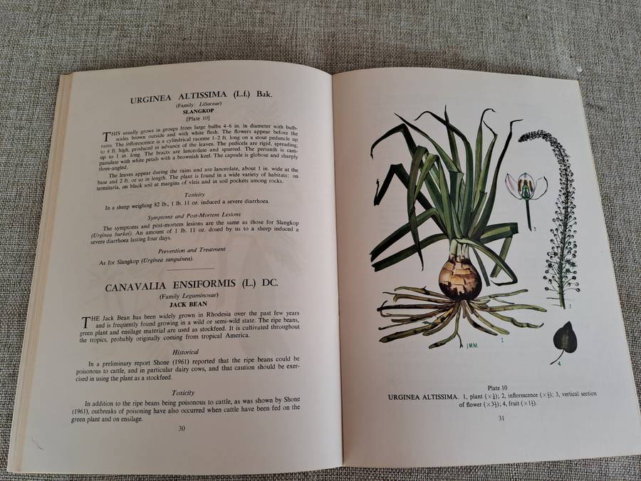 Poisonous Plants of Rhodesia - D.K. Shone & R.B. Drummond