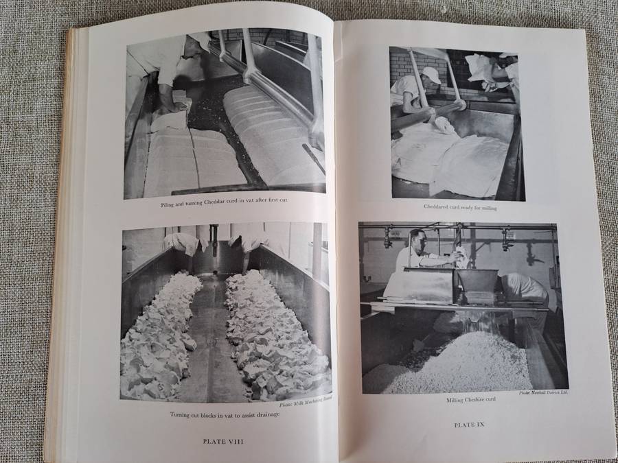 Cheesemaking Bulletin No. 43