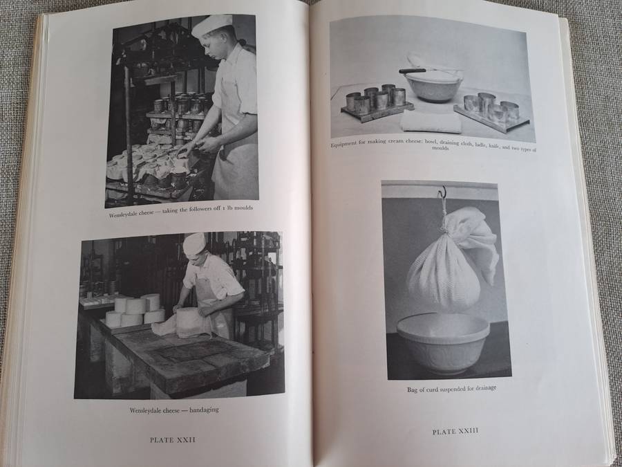 Cheesemaking Bulletin No. 43