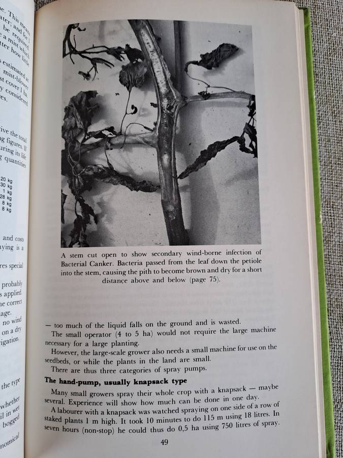 All about Tomatoes 4th Edition - Vincent A. Wager
