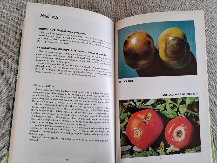 All about Tomatoes 4th Edition - Vincent A. Wager
