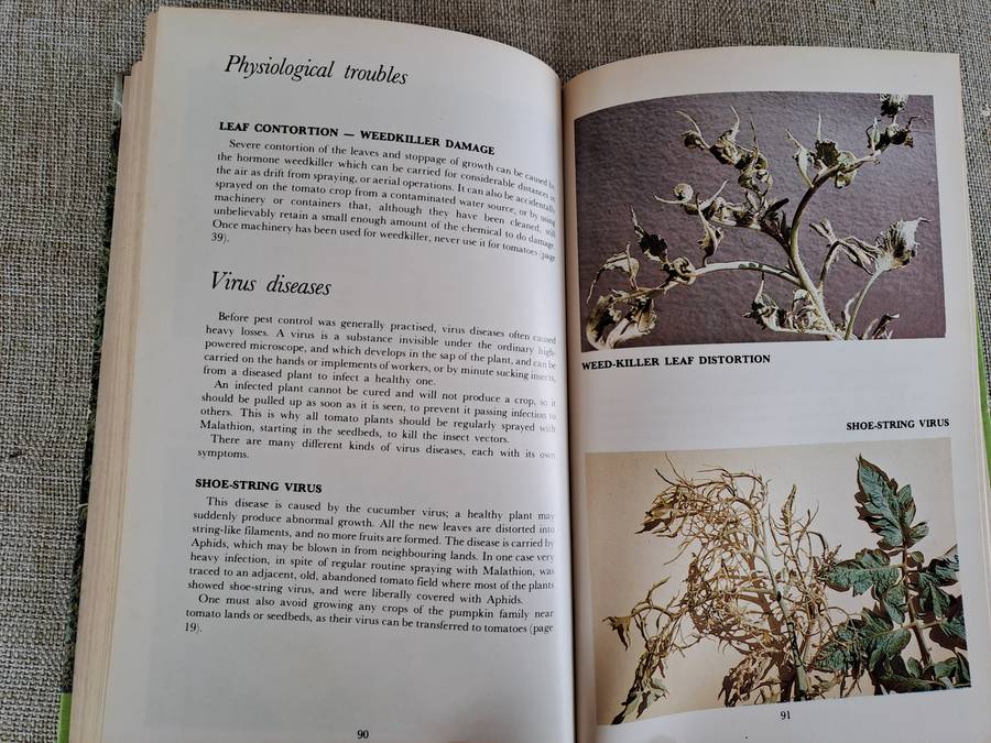 All about Tomatoes 4th Edition - Vincent A. Wager