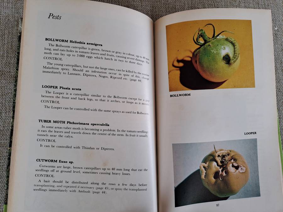 All about Tomatoes 4th Edition - Vincent A. Wager