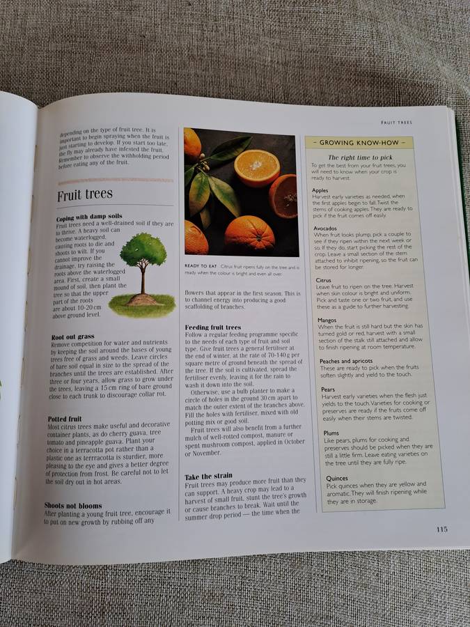 1001 Hints and Tips for your Garden