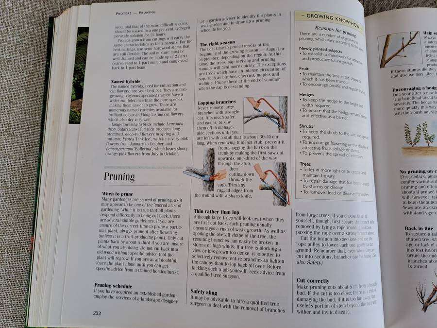 1001 Hints and Tips for your Garden