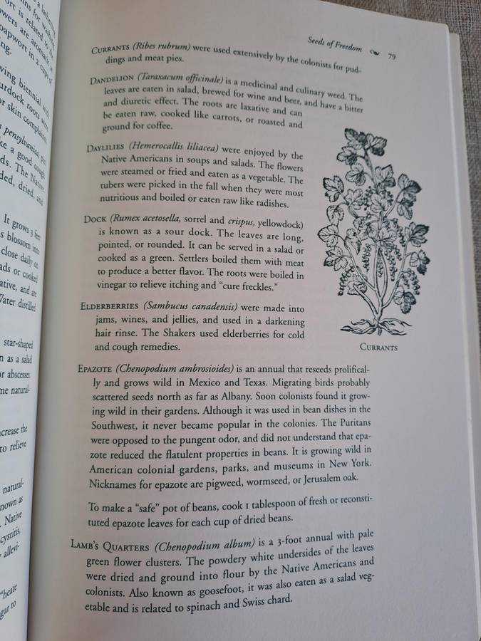 Mother Nature's Herbal