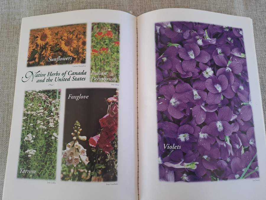 Mother Nature's Herbal