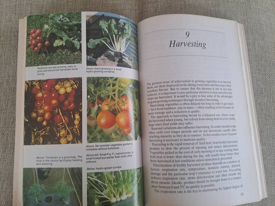 Growing Vegetables in South Africa 2nd Edition  Capel Hemy