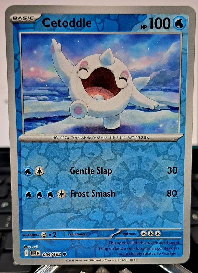 Pokemon Trading Cards - Cetoddle [Reverse Holo] #64 Pokemon Destined Rivals - NM