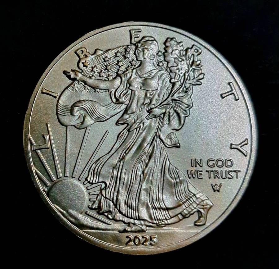 Walking Library Eagle Emblem  USA-1oz One Dollar Commemaritive Coin 2025 New in Capsule." coin1