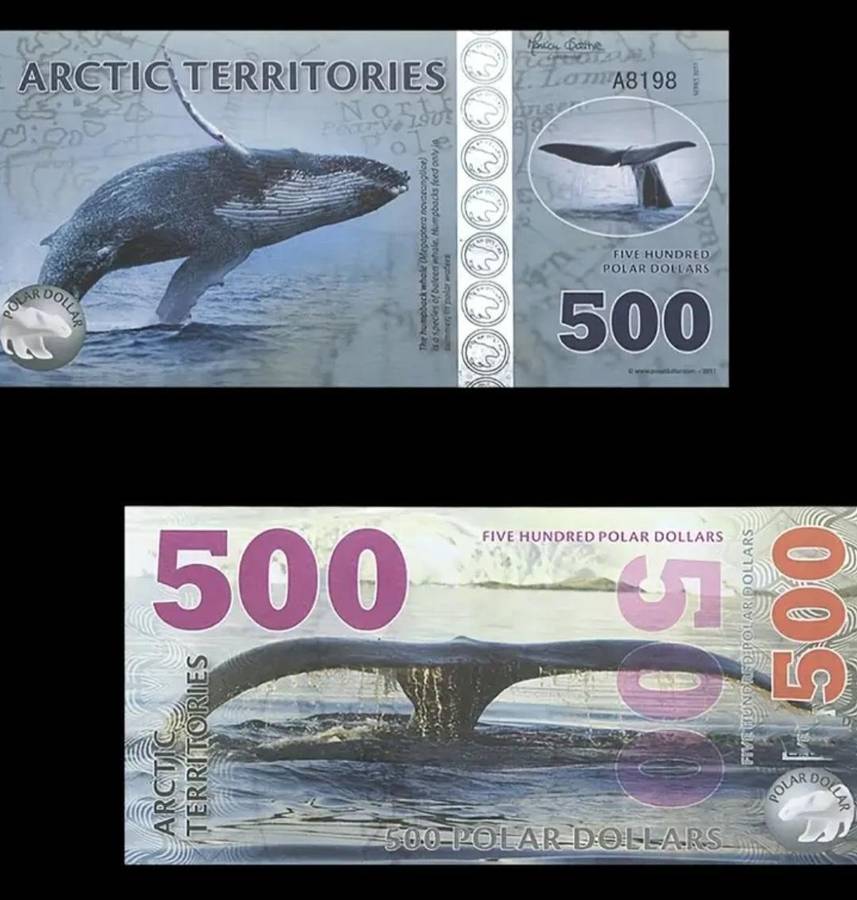 14pcs Arctic Wildlife Paper Money Set,Animal Designs "Excellent" New