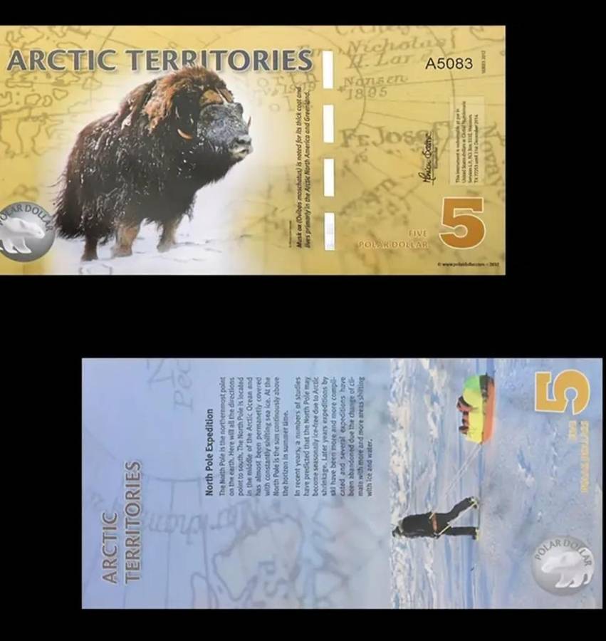 14pcs Arctic Wildlife Paper Money Set,Animal Designs "Excellent" New
