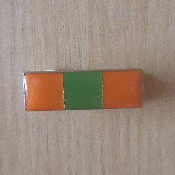 Bophuthatswana Defence Force Beret Bar/Balkie.