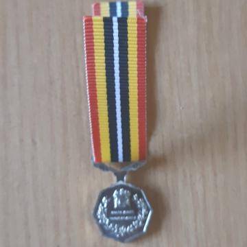 Southern Africa Medal - Miniature