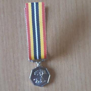 Southern Africa Medal - Miniature