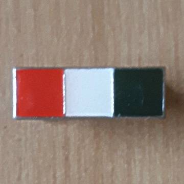S.A Intelligence Corps Beret Bar With Both Pins In Place - One Pin Replace