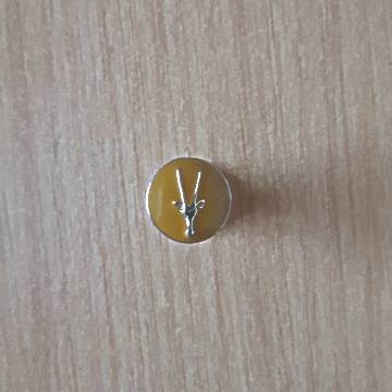 SWA Lapel Badges With Pin In Place