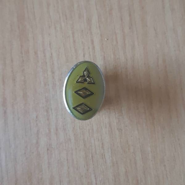 SWA Lapel Pin With One Pin