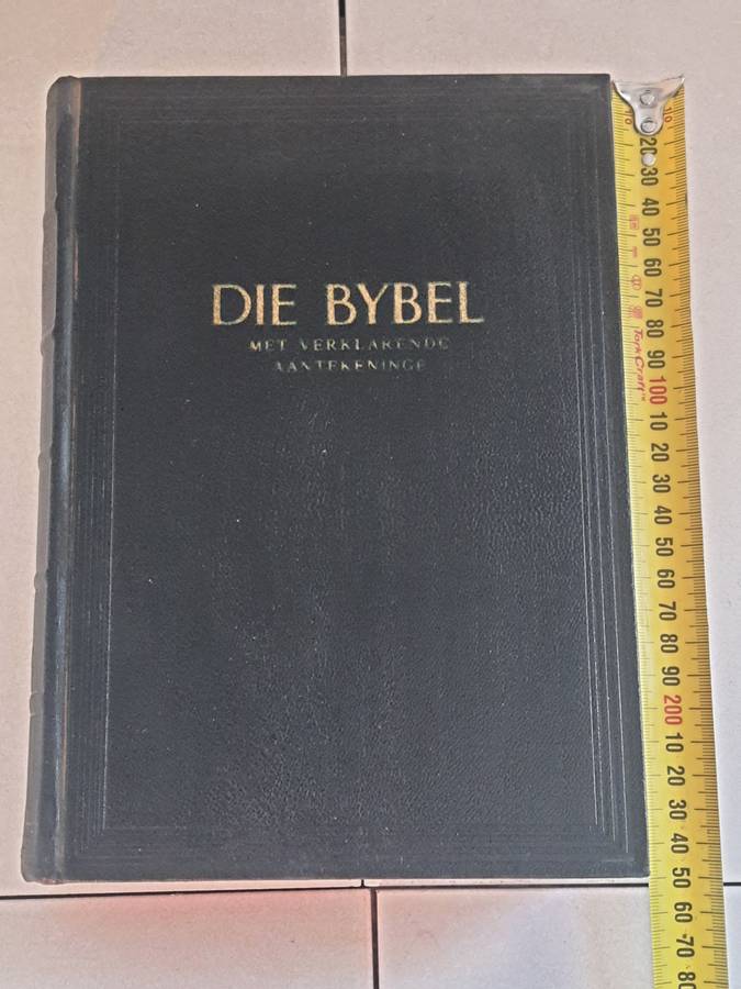 BIBLE  - IMACULATE CONDITION