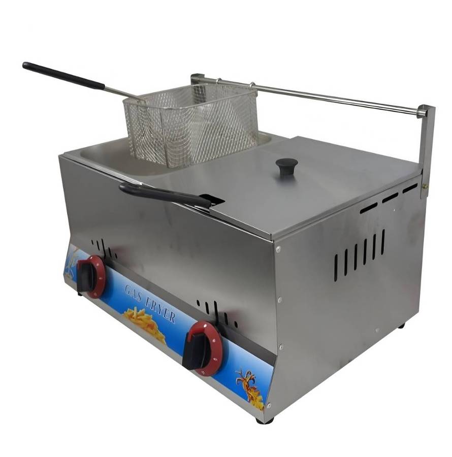 Aruif High-End 12L Dual Tank Gas Fryer
