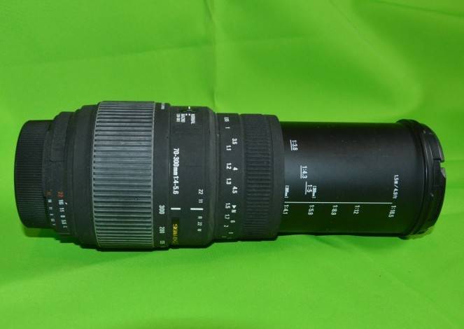 70-300mm Macro Lens Nikon mount: Sigma F4-5.6 DG MACRO
