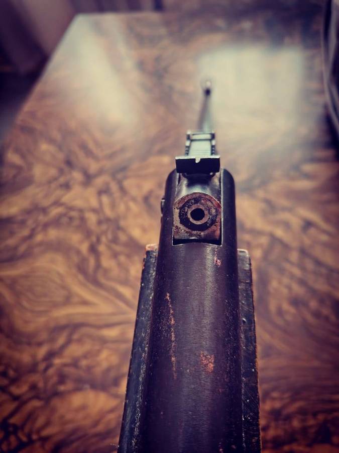 D Marco Pellet Gun, Painted art peace