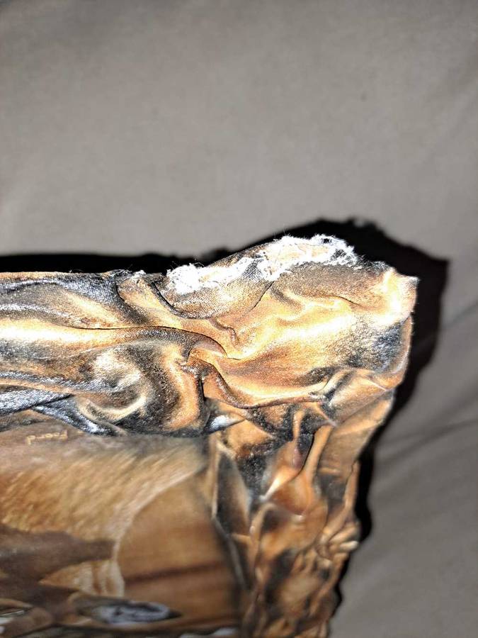 Beautiful Wildlife Paintings by Lawrence Foord