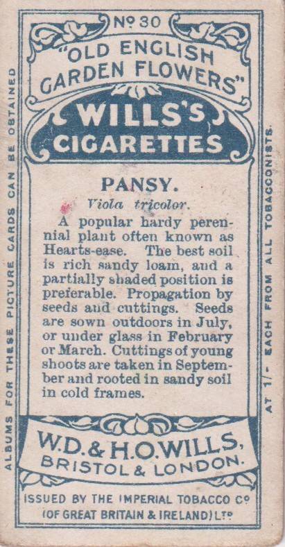 Cigarette Card Old English Garden Flower No. 30