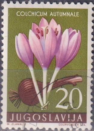 Stamp Thematic Flowers