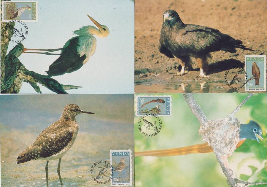 Maxi Cards Set of 4 Venda 1984 Migratory Birds