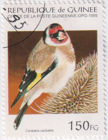 Stamp Thematic Birds ULM Guinea