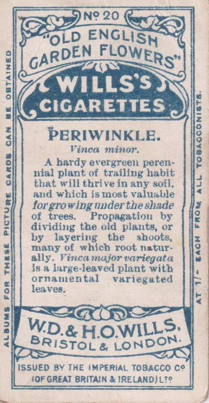 Cigarette Card Old English Garden Flower No. 20