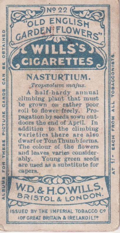 Cigarette Card Old English Garden Flower No. 22