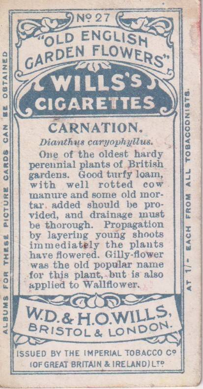 Cigarette Card Old English Garden Flower No. 27
