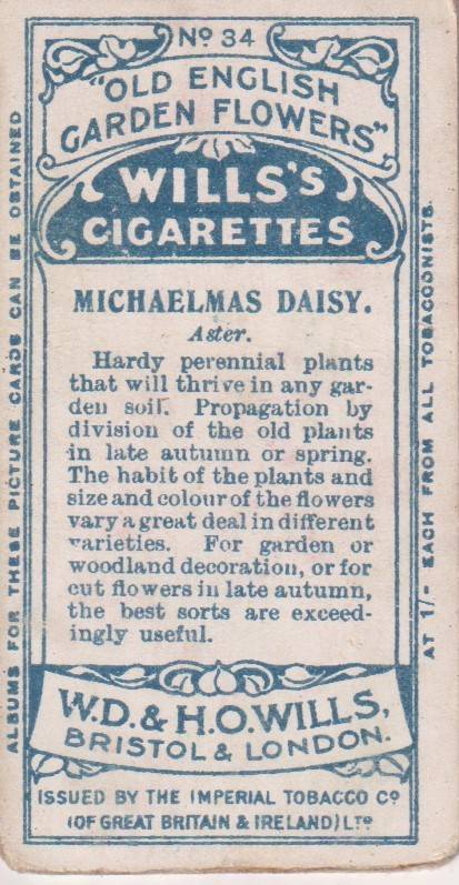 Cigarette Card Old English Garden Flower No. 34