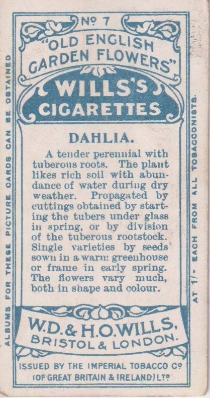 Cigarette Card Old English Garden Flower No. 7