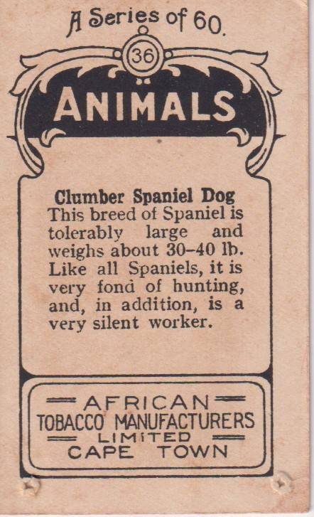 Cigarette Card  Africa Tabaco manufactures Limited Cape Town Animal  36