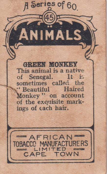 Cigarette Card  Africa Tabaco manufactures Limited Cape Town Animal 45
