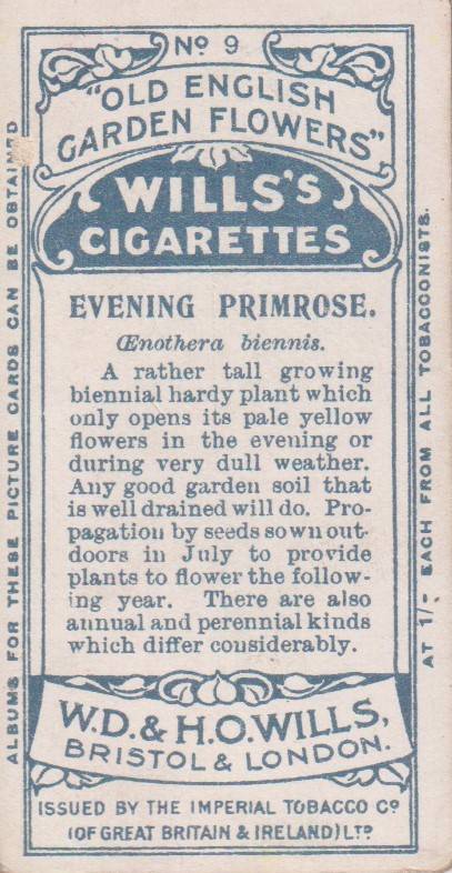 Cigarette Card Old English Garden Flower No. 9
