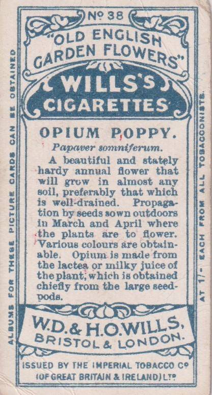 Cigarette Card Old English Garden Flower No. 38