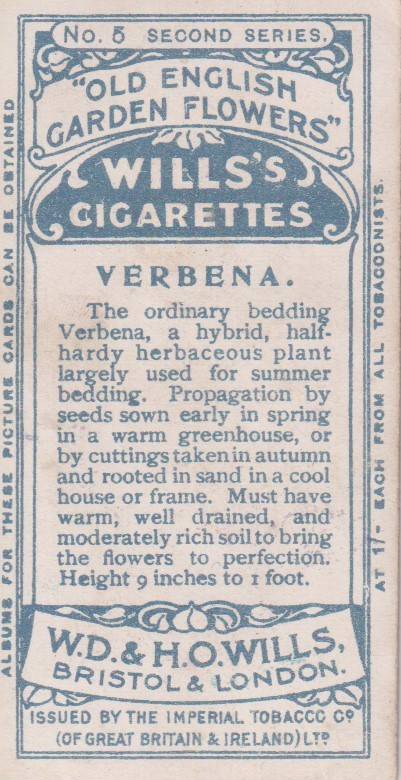 Cigarette Card Old English Garden Flower No. 5