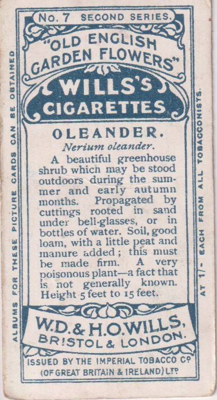 Cigarette Card Old English Garden Flower No. 7