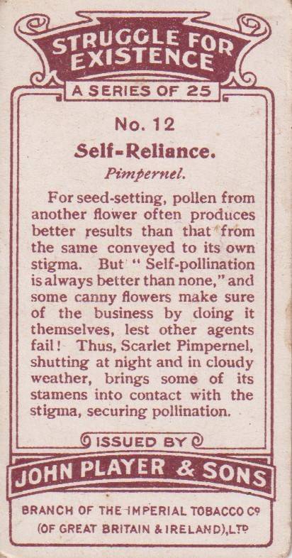 Cigarette Card Struggle for Existence No. 12