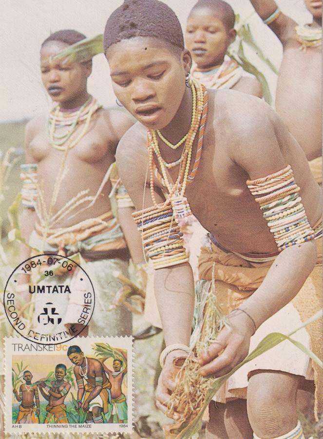Maxi Card Transkei 1984 Xhosa Culture