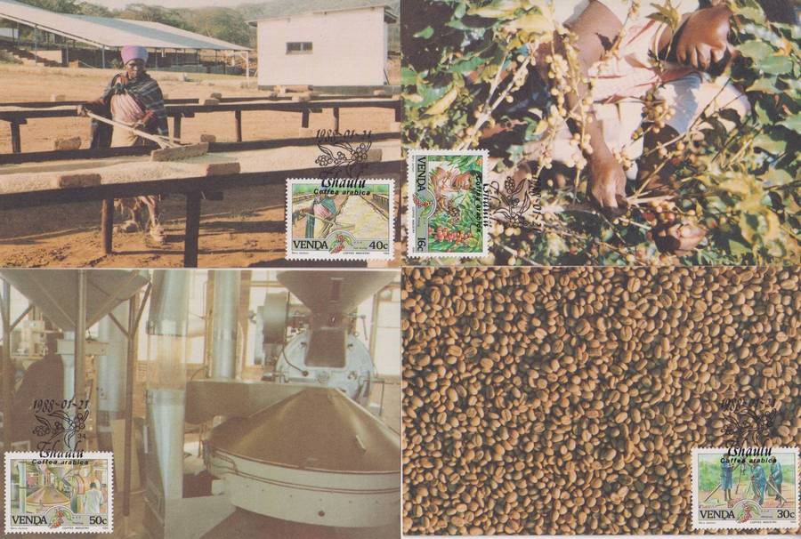 Maxi Cards Set of 4 Venda 1988 Coffee Industry