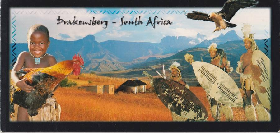 Post Cards / Maxi Card not used